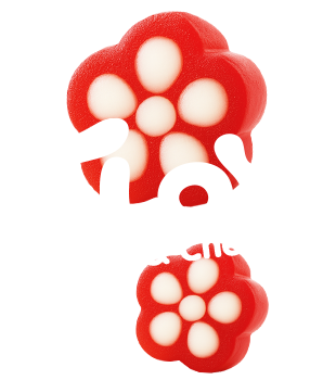 Floy Soft and Chewy
